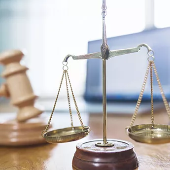 ¿Qué dice la ley exactamente?